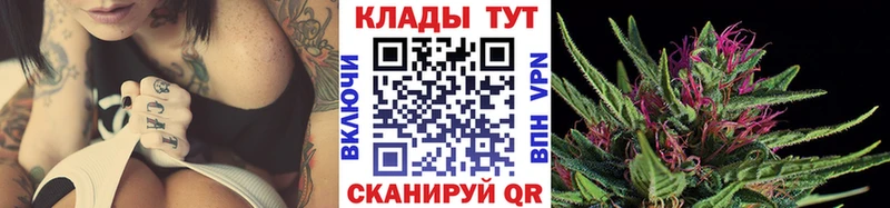 Какие есть наркотики Волгодонск Cocaine  A PVP  kraken как зайти  Гашиш  Бошки Шишки 