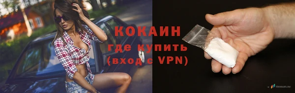 шишки Алагир