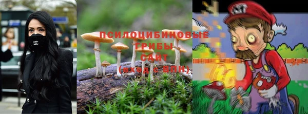 прущий лед Аркадак