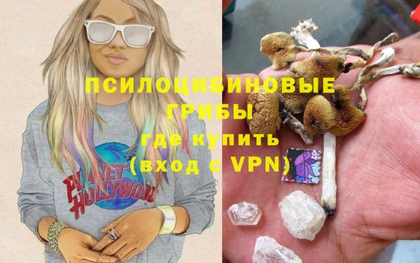 не бодяженный Арсеньев