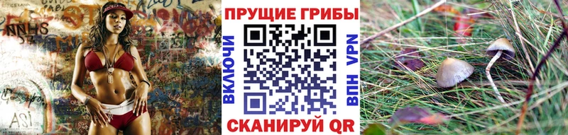Псилоцибиновые грибы GOLDEN TEACHER  цена наркотик  Волгодонск 