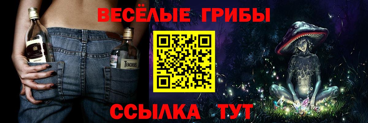 Волгодонск  Псилоцибиновые грибы Magic Shrooms  Вход с VPN 